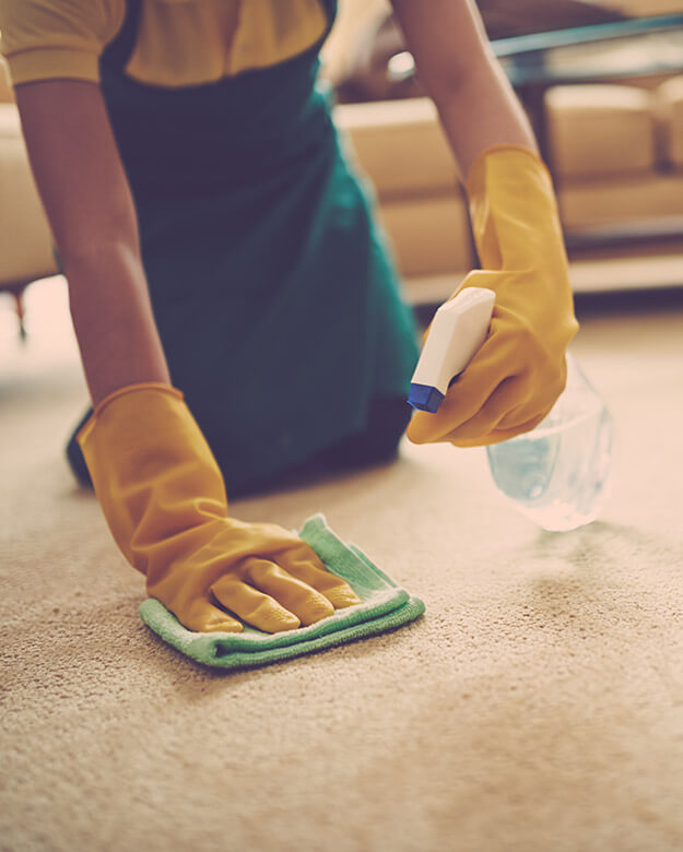 carpet cleaning